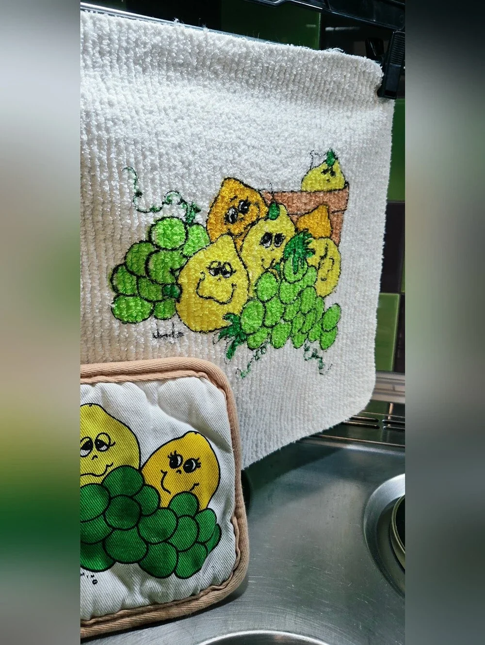 Vintage Cannon Fruit Face Dish Cloth & Hot Pad